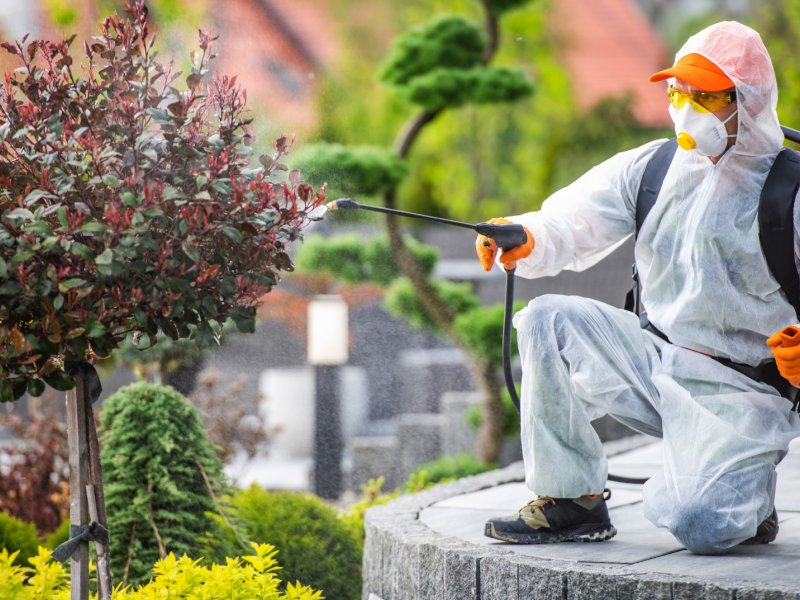 Dalaman Haşere İlaçlama