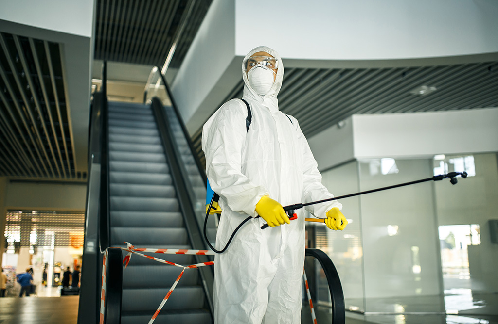 Dalaman Haşere İlaçlama